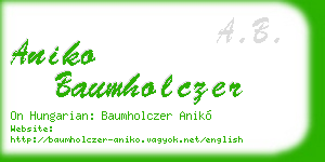 aniko baumholczer business card